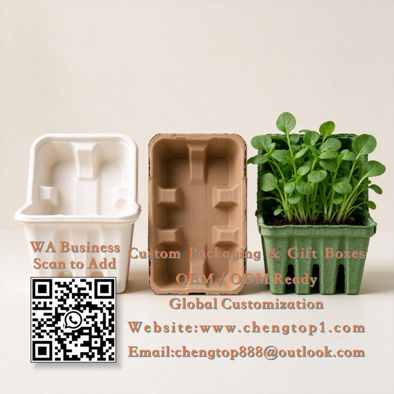 Eco-Friendly Packaging Inserts: Sustainable Options That Still Look Great - Packaging Inserts - ChengTop Packaging & P...